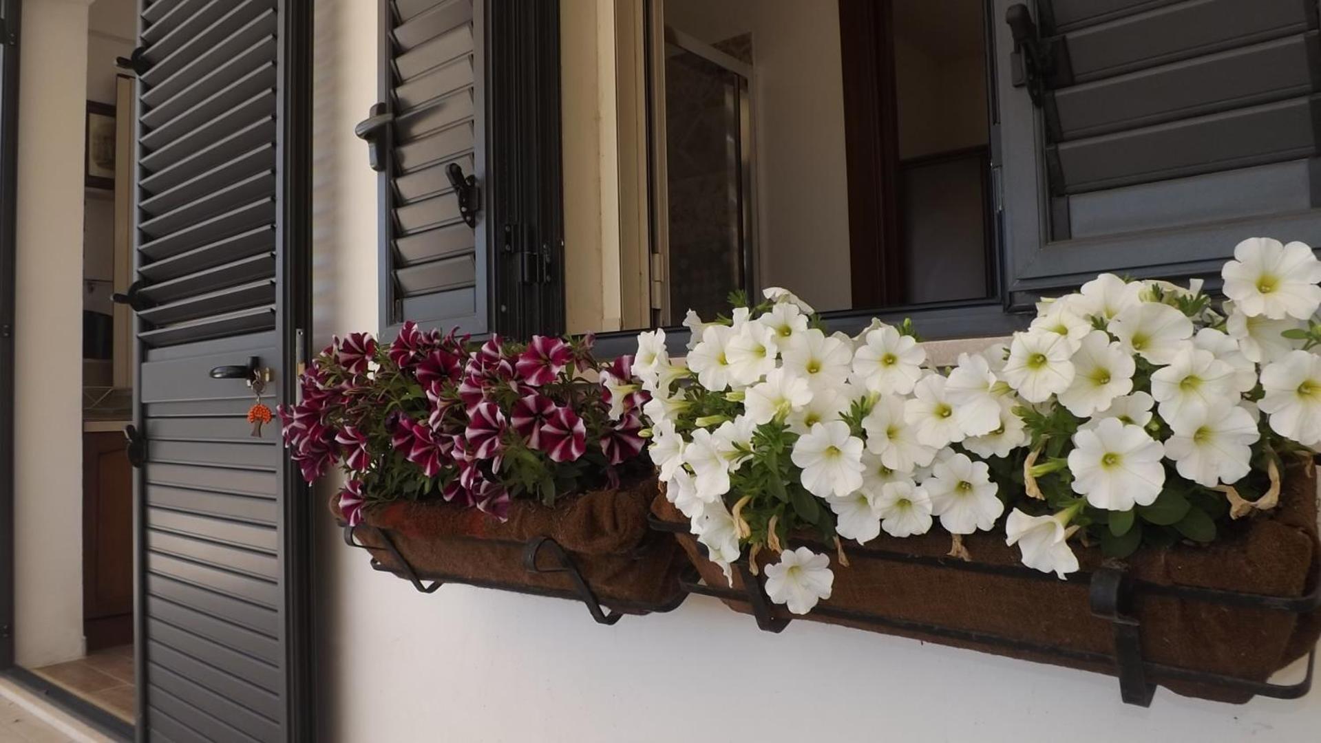 Beb Nonno Baffo Bed & Breakfast Avola Bagian luar foto