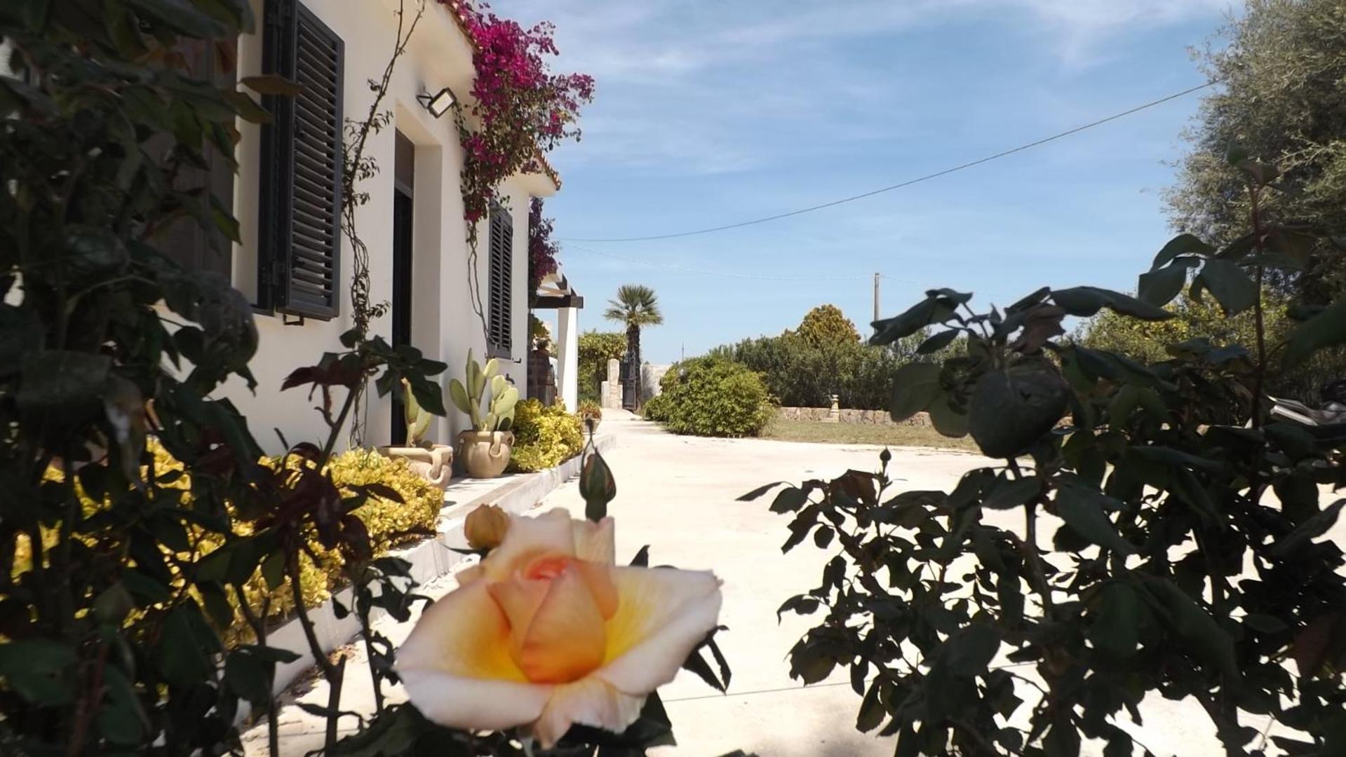Beb Nonno Baffo Bed & Breakfast Avola Bagian luar foto