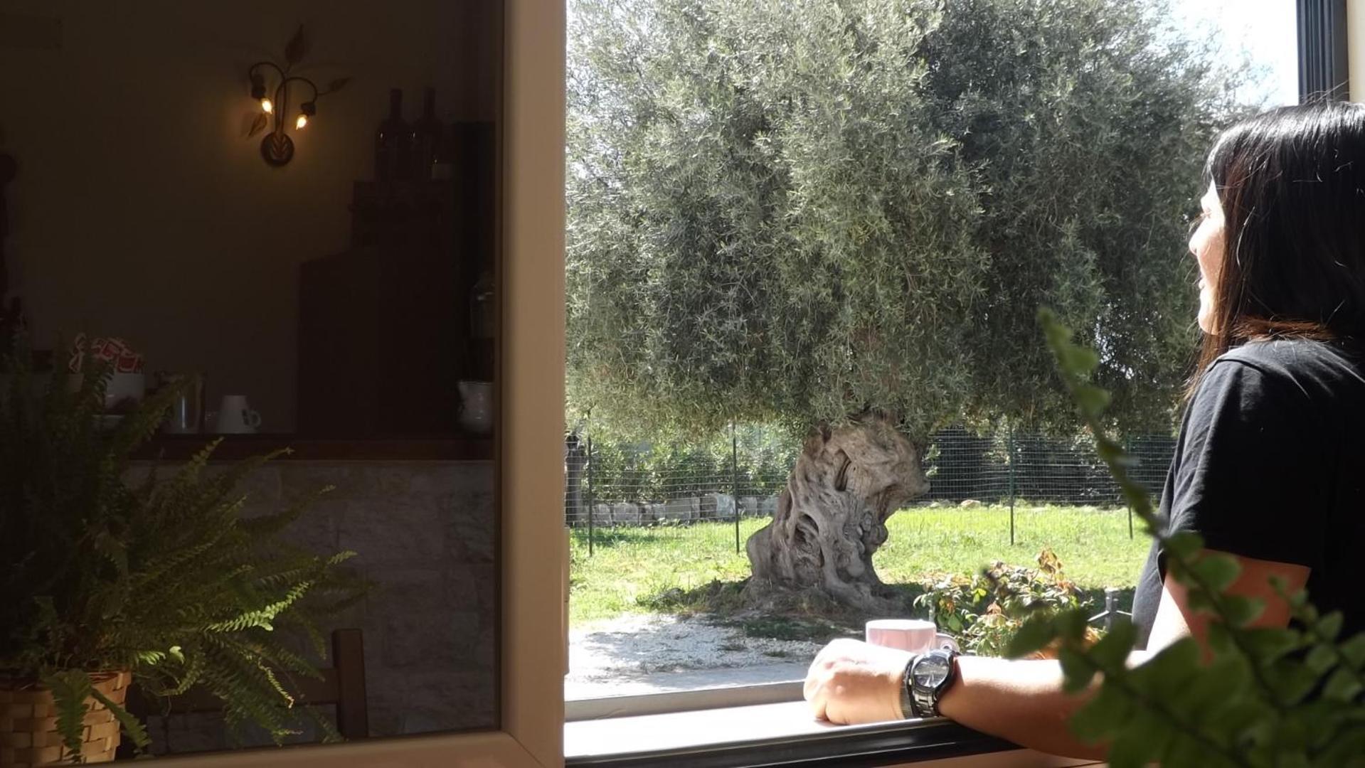Beb Nonno Baffo Bed & Breakfast Avola Bagian luar foto